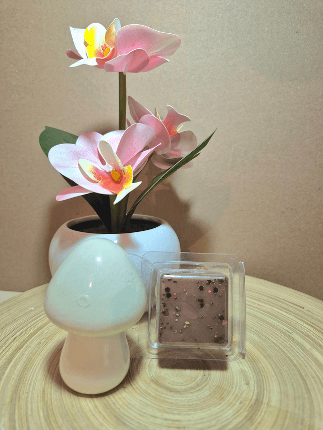 Chocolat Noisette