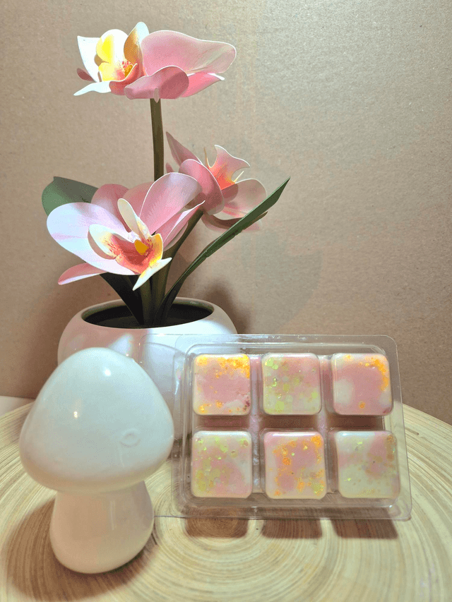 Macaron vanille