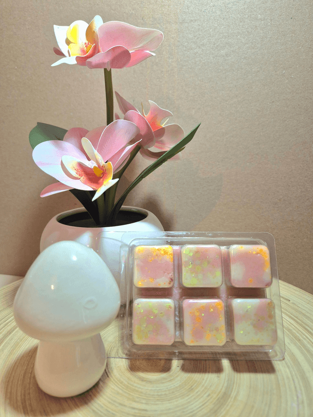 Macaron vanille